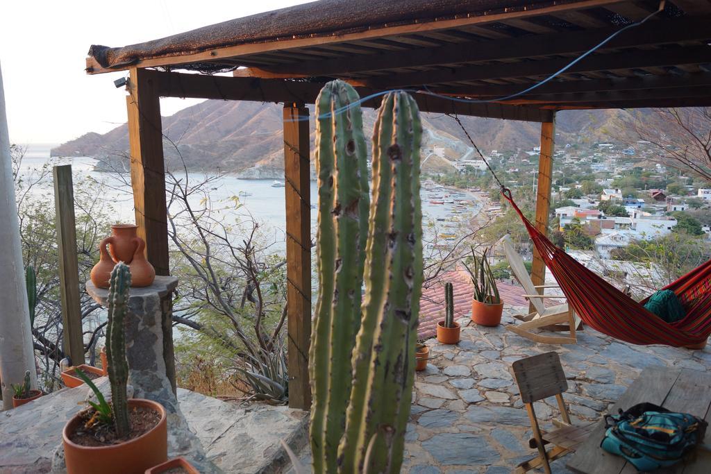 Cactus Taganga